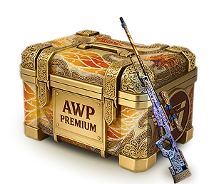 Case AWP Premium